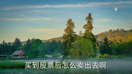 买到股票后怎么卖出去啊