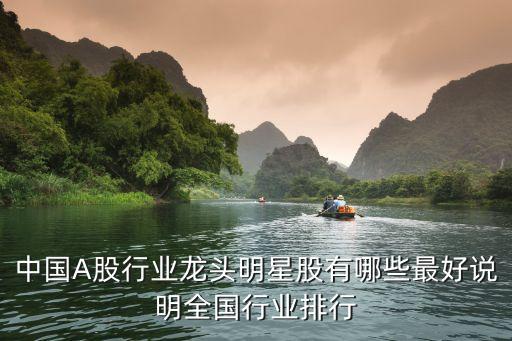 中国A股行业龙头明星股有哪些最好说明全国行业排行