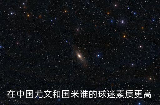 在中国尤文和国米谁的球迷素质更高