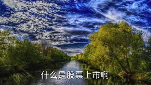 股票什么上市的，股票是什么时候上市的