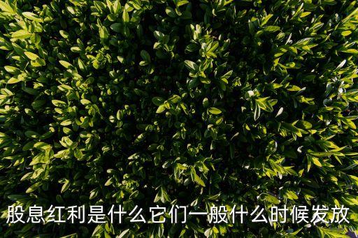 股息红利是什么它们一般什么时候发放