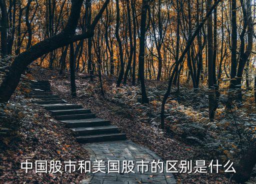 中国股市和美国股市的区别是什么