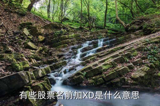 股票标注xd什么意思，股票XD是什么意思的