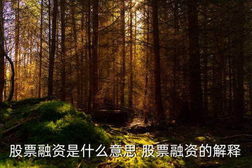 股票融资是什么意思 股票融资的解释