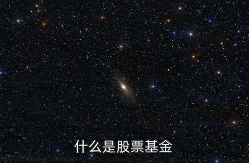 什么是股票基金，什么是股票基金