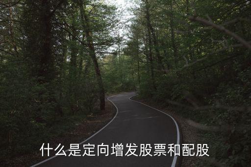 什么定向增发股票，什么是股票的定向增发
