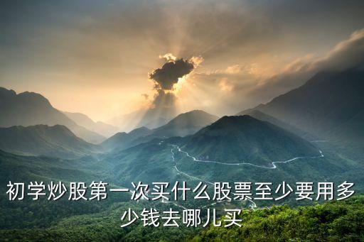 初学炒股第一次买什么股票至少要用多少钱去哪儿买