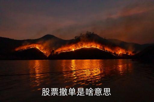 股票撤单是啥意思