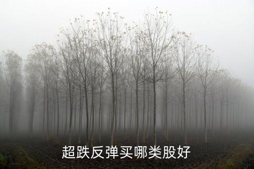 超跌反弹买什么股票，超跌反弹买哪类股好