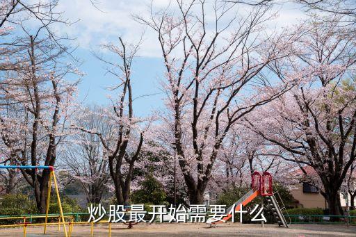 炒股最开始需要什么