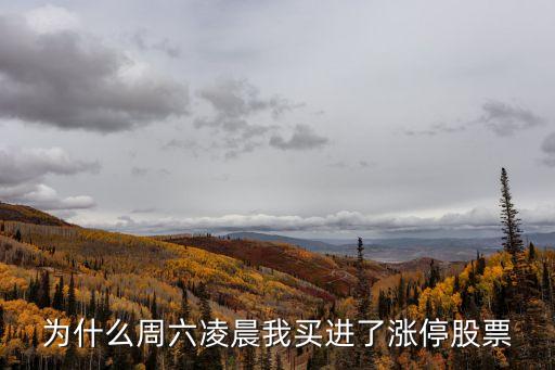 为什么周六凌晨我买进了涨停股票