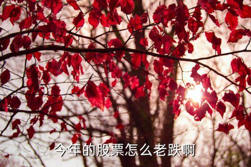 今年的股票怎么老跌啊