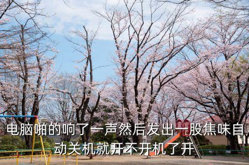 电脑啪的响了一声然后发出一股焦味自动关机就开不开机了开