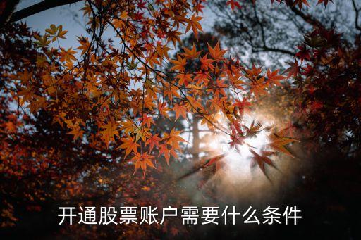 开通股票账户需要什么条件