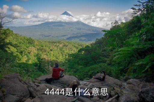 4444是什么意思