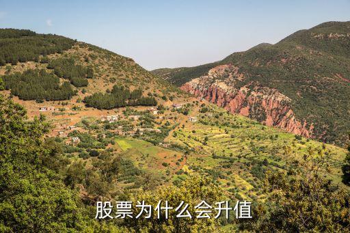股票为什么会升值