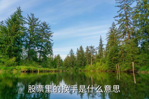 股票里的换手是什么意思