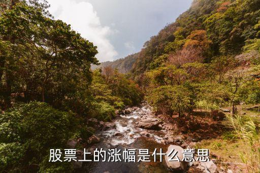 股票上的涨幅是什么意思