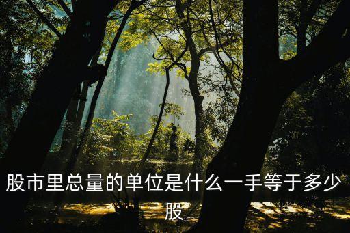 股市里总量的单位是什么一手等于多少股