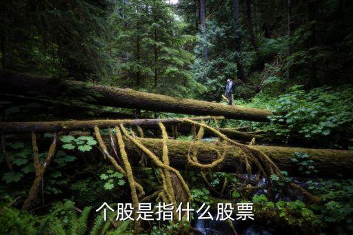 个股是指什么股票