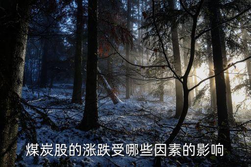 煤炭股的涨跌受哪些因素的影响