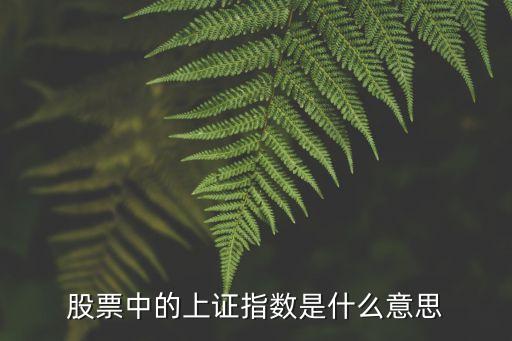 股票中的上证指数是什么意思