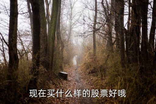 现在买什么样的股票好哦