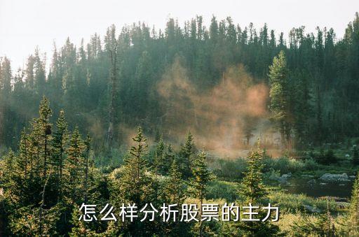 怎么分析股票主力，怎么样分析股票的主力