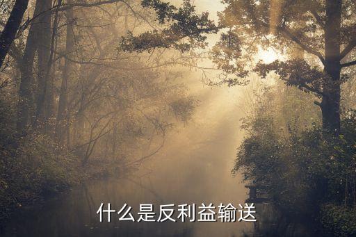 什么是反利益输送