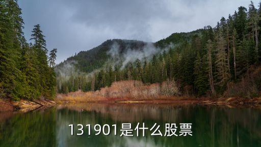 131901是什么股票
