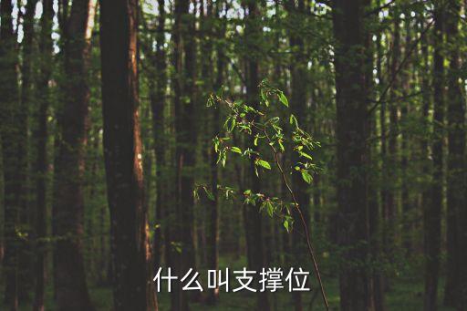 股票什么是支撑位，什么是股票的压力位支撑位