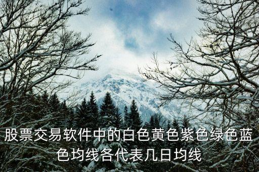 股票交易软件中的白色黄色紫色绿色蓝色均线各代表几日均线