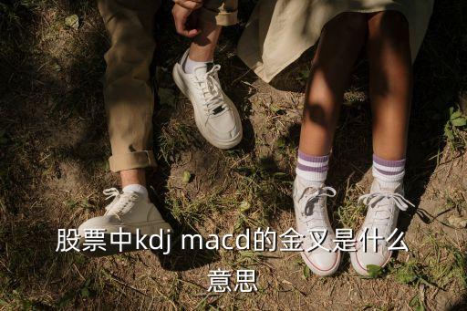 股票macd金叉是什么，股票中kdj macd的金叉是什么意思