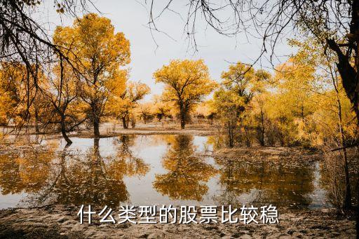 什么类型的股票比较稳
