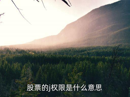 股票的j权限是什么意思