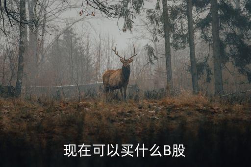 现在可以买什么B股