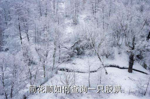 怎么查同花顺股票，请问在同花顺里怎么查询个股行情