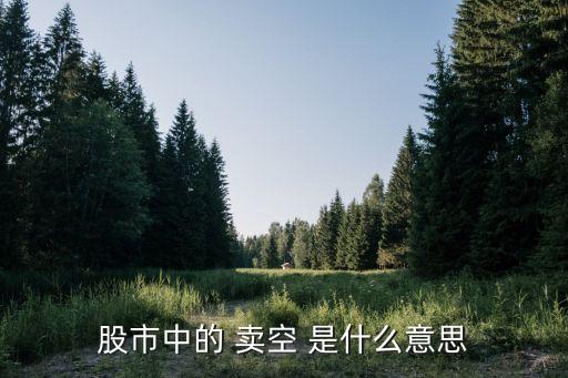 股市中的 卖空 是什么意思