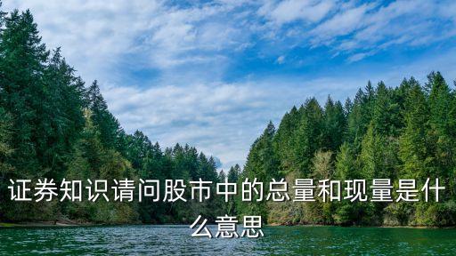 证券知识请问股市中的总量和现量是什么意思