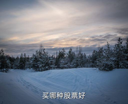 93年买什么股票最好，股票买什么股比较好一些