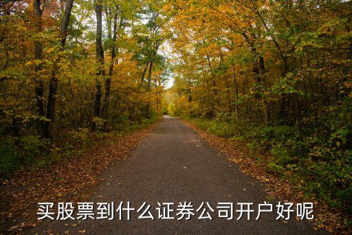 买股票到什么证券公司开户好呢