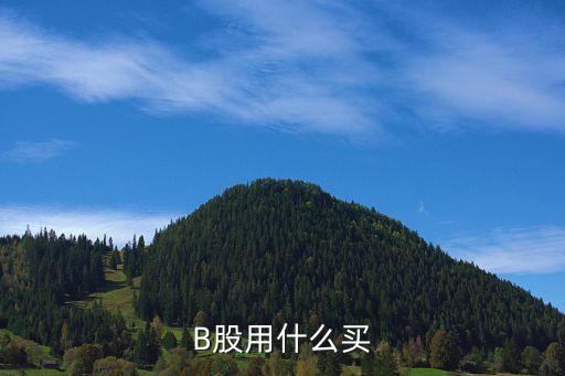 什么股票可以买b股，B股用什么买