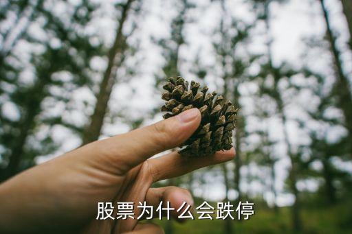 股票为什么会跌停