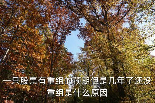 一只股票有重组的预期但是几年了还没重组是什么原因