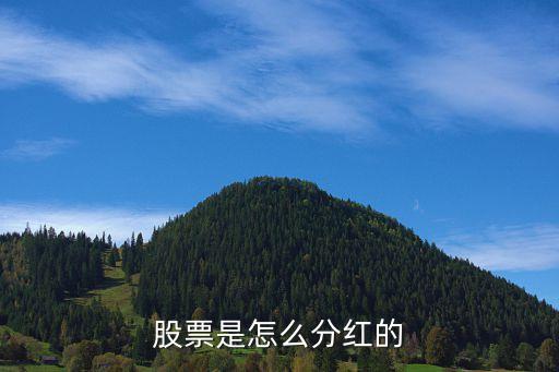 股票是怎么分红的