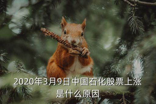 2020年3月9日中国石化股票上涨是什么原因