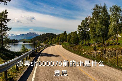 股票sh600076前的sh是什么意思