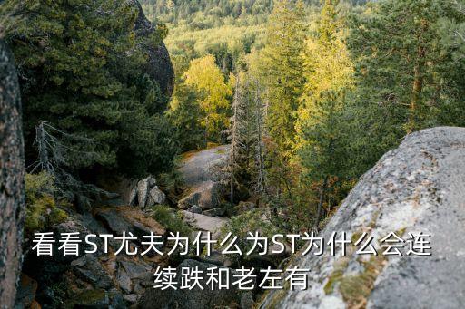 尤夫股票现什么价，Burberry股票现在什么价格