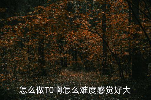 股票做t最难的是什么，怎么做T0啊怎么难度感觉好大