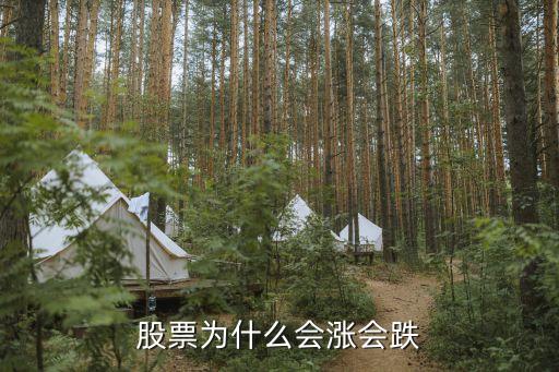 为什么散户股票还会涨跌，股票为什么会涨会跌